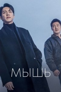  Мышь 